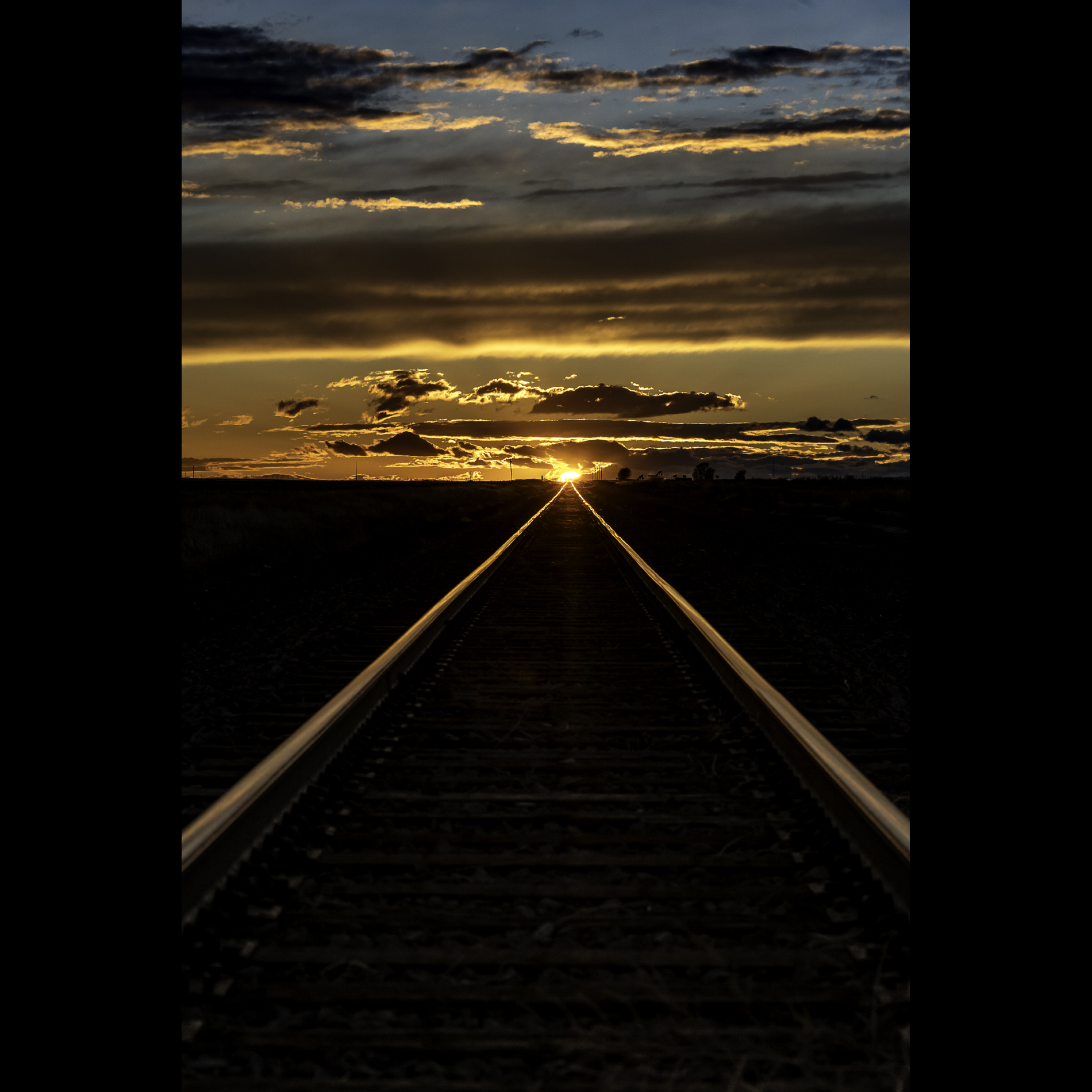 Avner Ofer Photography