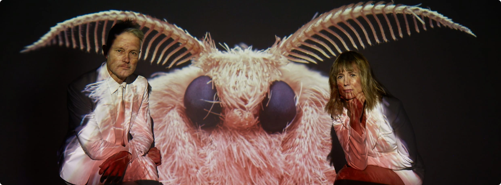 moth-project