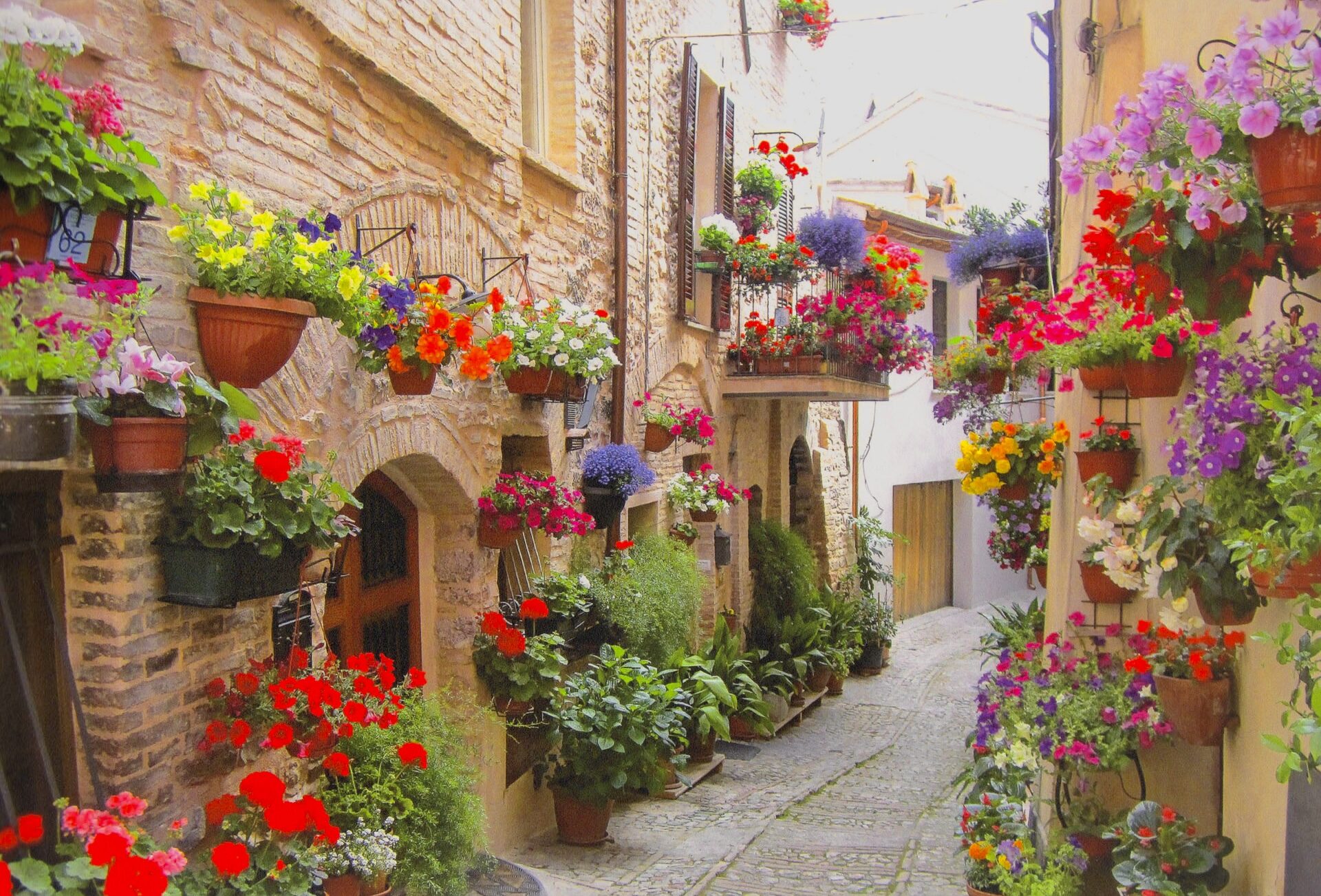 Italy in Color