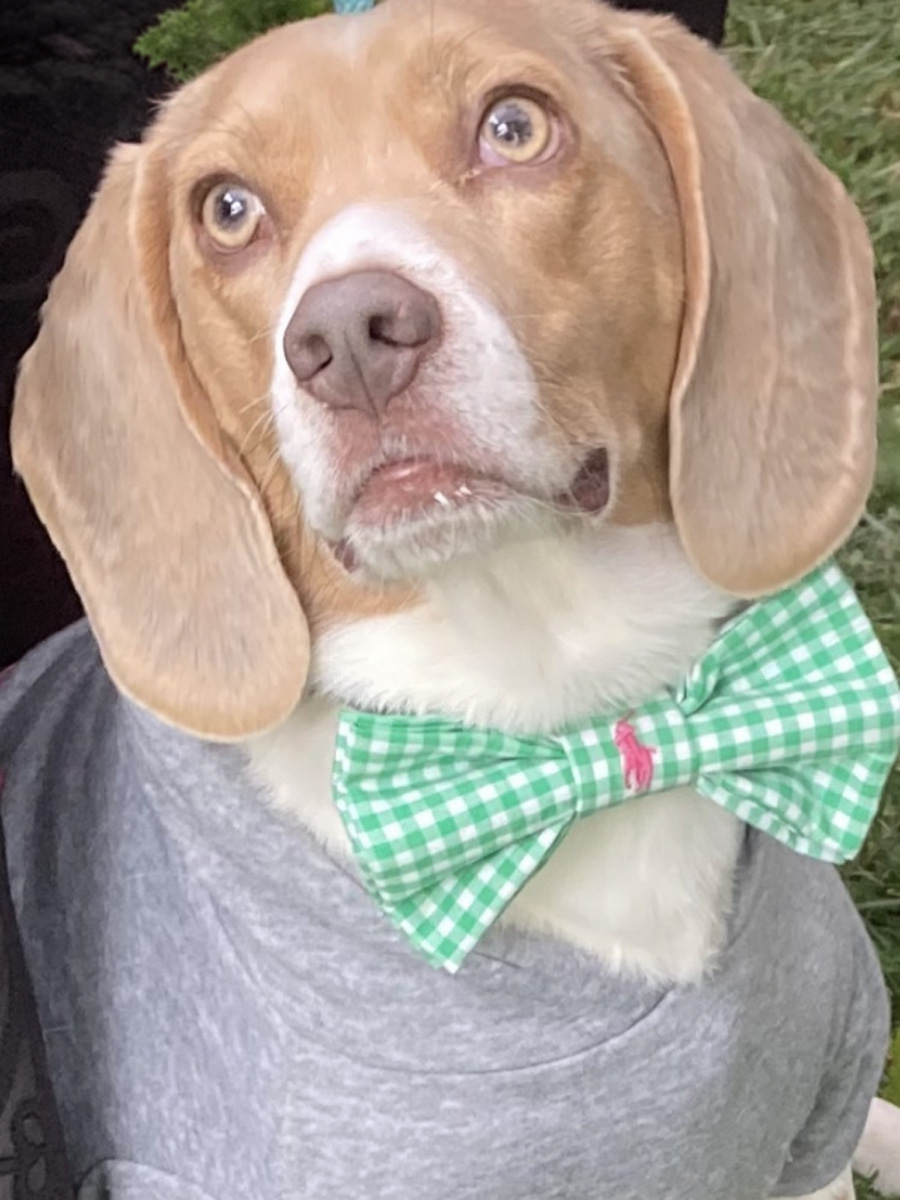 TieBro