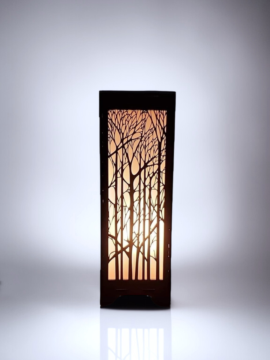 Windsong Laser Studio